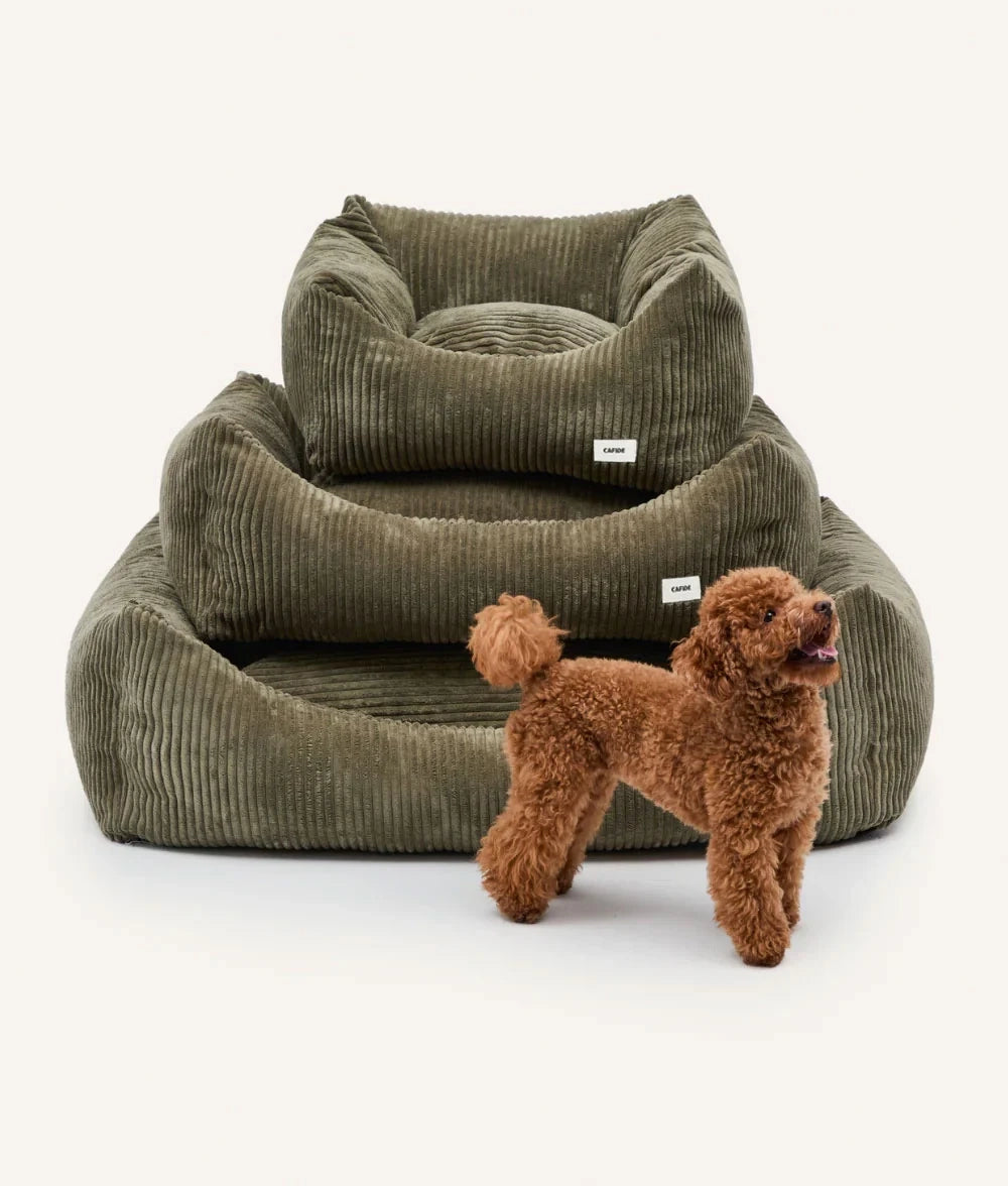 Lit pour chien en velours vert, Snozy