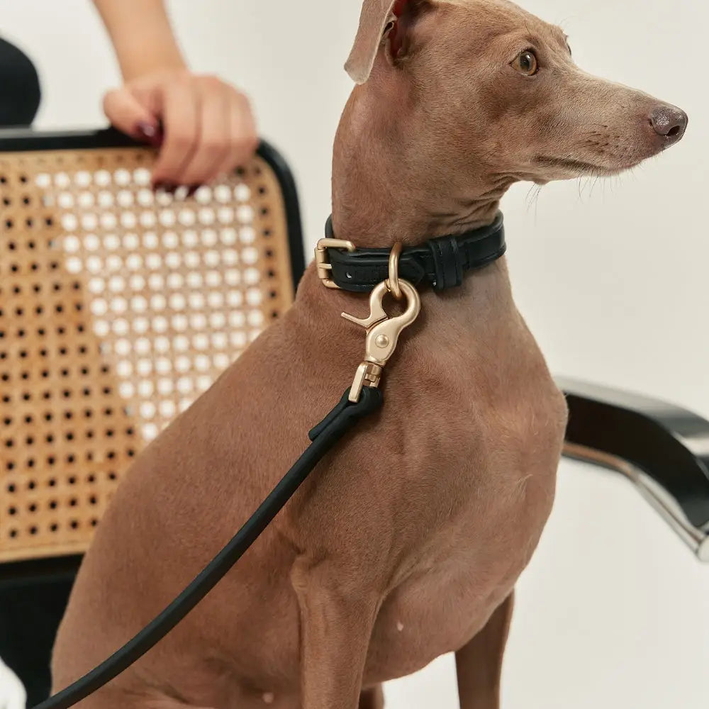 Collier en cuir végétalien noir, Jala