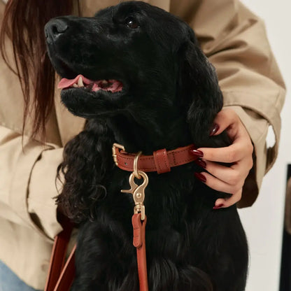 Collier en cuir végétalien marron, Jala
