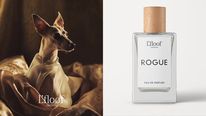 Parfum pour chien en spray - 100 ml - L&