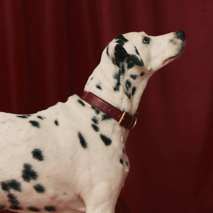 Collier Cuir Végan Bordeaux, Jala